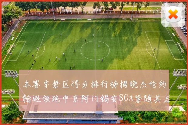本赛季禁区得分排行榜揭晓杰伦约翰逊领跑申京阿门锡安SGA紧随其后